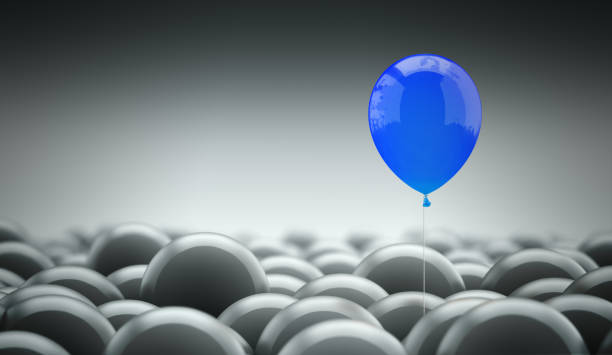 International Career transition Coaching