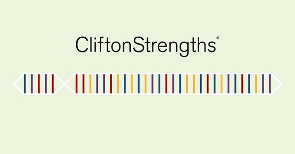 Clifton strengths assessment instrument